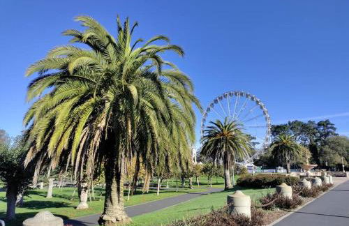 Sunny SF home - cozy, spacious, convenient w/parking, A+ location!! - Foto 50