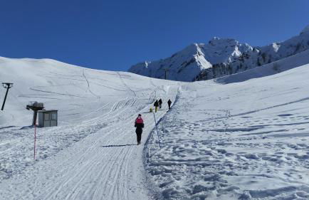 Appartamento Verdenatura - Foto 11