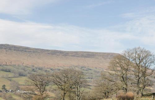 White Haywood Farmhouse - Photo 37