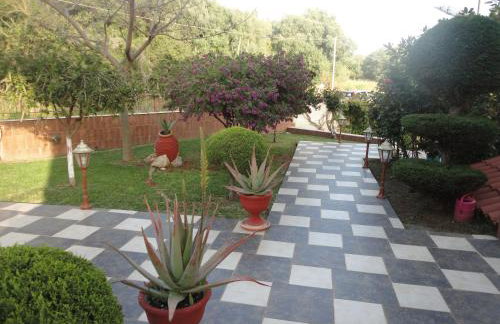 Villa Elpida - Foto 13