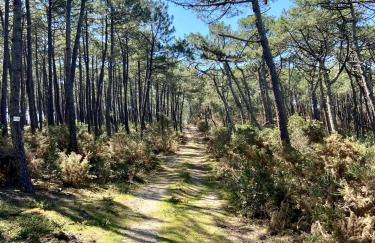 Vue Phare - Au Coeur de Contis Plage - Foto 13