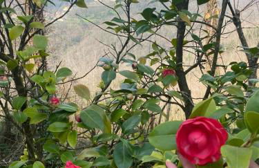 Elegant Tuscany Mountain Villa - Foto 16