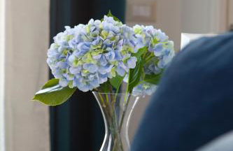 Palazzetto de Lante Appartamento Parione - Foto 10