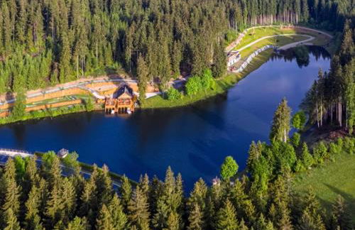 Ferienhaus VILLA ZAUBERBLICK am Rennsteig Frankenwald FREISTEHEND naturnah HUNDEFREUNDLICH eingezäunt - Foto 61