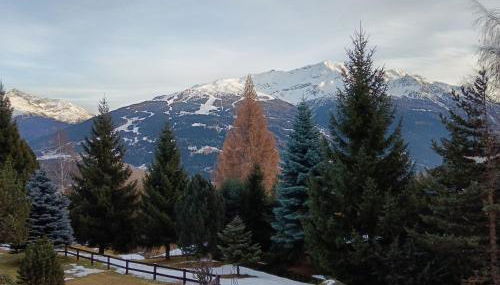 Fiocco di neve - Foto 2