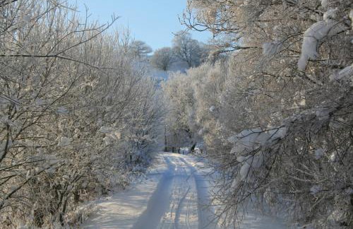 Snowdonia Glamping Holidays, Betws-y-Coed - Foto 41