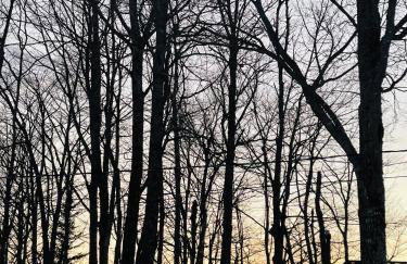 All Season Fun and Cozy Home in Island Falls, ME - Foto 25