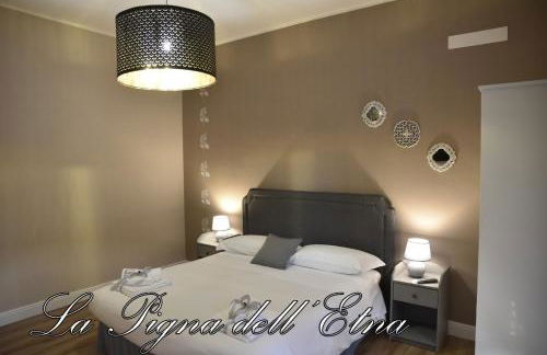 La Pigna dell'Etna - Foto 8