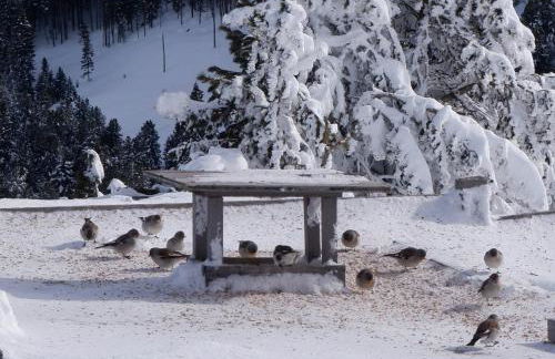 Laerchhof - Photo 55