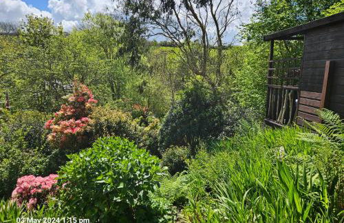 Treetops Lodge, private Cornish hideaway, parking, garden - Foto 60