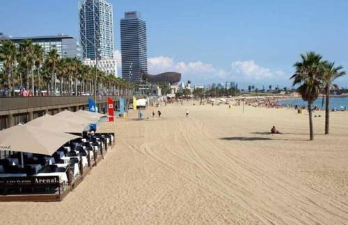 Apartments BCN Central-Drassanes - Photo 44