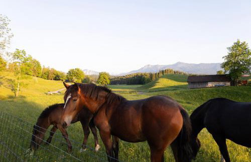 Idyllische Ferienunterkunft in Aidling am Riegsee - Foto 30