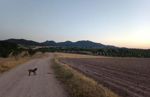 Casa Rural Abuela Dorotea - Foto 19