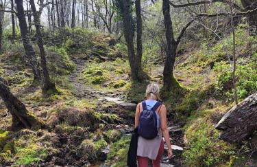 Snowdonia Mawddach escape - Foto 63