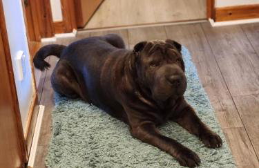 Room with a view - Foto 50