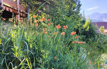 Chalet Ailleurs Appartement à Molines en Queyras - Foto 30