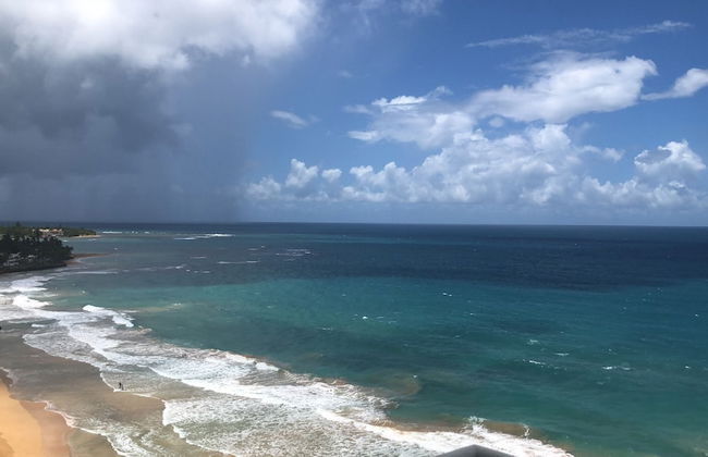 Ocean View Gorgeous 1 Bedroom Apt - Photo 50