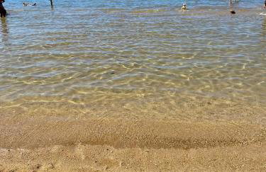 Apartments Brezović Škrapavac - 40m from the beach - Photo 30