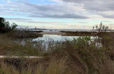 Downtown- Sunshine Cottage and Golf Cart - Foto 54