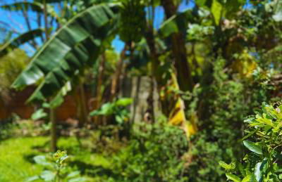 Charmosa Casa Praiana in Florianópolis - Photo 26