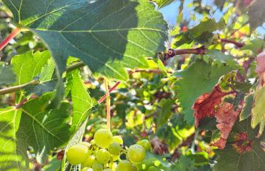 Apartment Milada - Photo 8