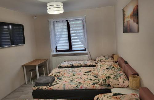 Pokój z własną kuchnią i łazienką Żyrardów SUNTAGO - Foto 6