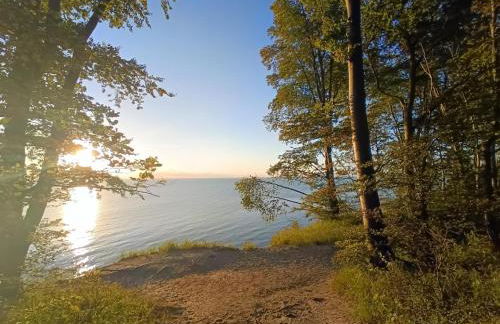 Cosy apartment for family in Sellin - Foto 54