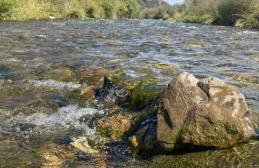 Casa Vó Briata - Foto 69