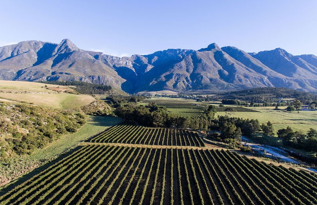 Wildebraam Berry Estate - Foto 24