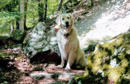 Giuditta FreeCarPark&Garden - Photo 49