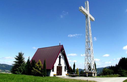 Leśna Muzyka Apartment Limanowa - Photo 47