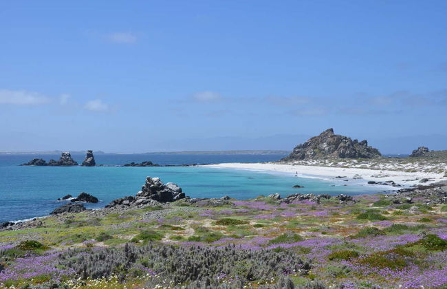 Excursion sur l'île de Damas - Photo 4