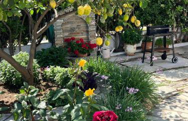 Sea front house & garden, Oropos - Foto 29