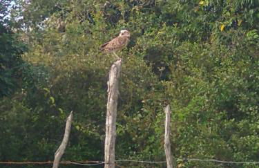 Casa Aratu Guaiú Barra de Mamanguape - Photo 41