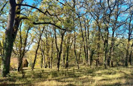 gite en pleine nature - Foto 23