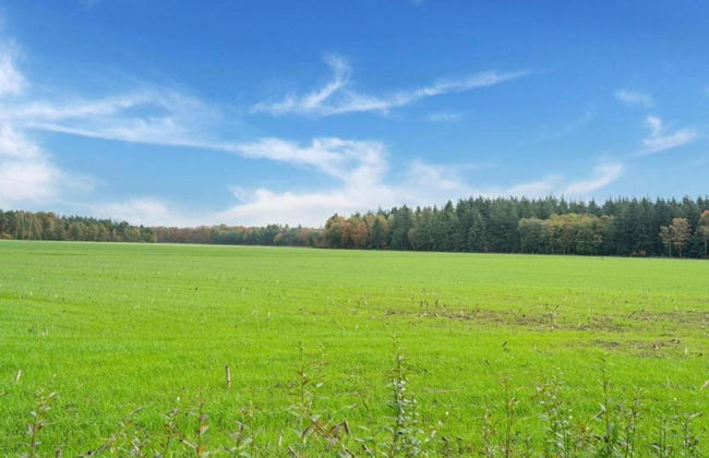 Tranquil Goirle Countryside Home - Photo 32