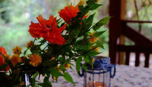 Chata pod Żurawiem - Foto 5