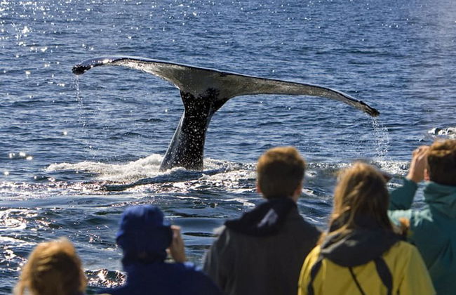 Riverview Resort - Foto 31