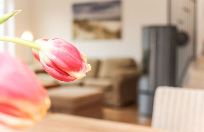 Logierhaus-Greetsiel - Foto 13