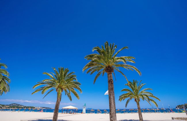 Las Palomas Apartments Econotels - Foto 35