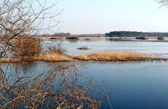 Kalinówka - apartament w domu nad Narwią - Foto 16