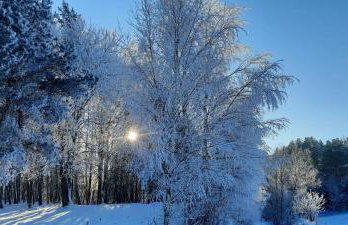 Pod Żurawiem Urokliwy domek na Kaszubach - Foto 76