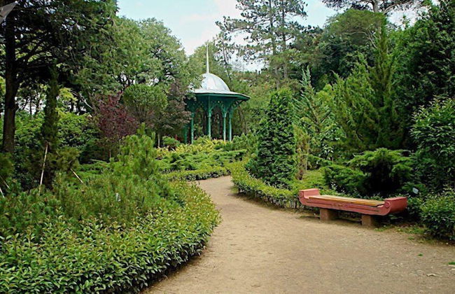 Botanical 21 Apartments - Photo 77