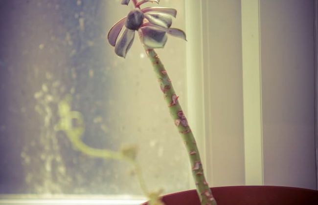 Warren st Apt - Photo 19