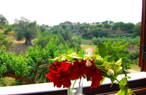 Agriturismo Vulcano - Foto 85