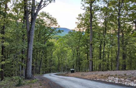 Eaglet Cabin near the Shenandoah River - Photo 12