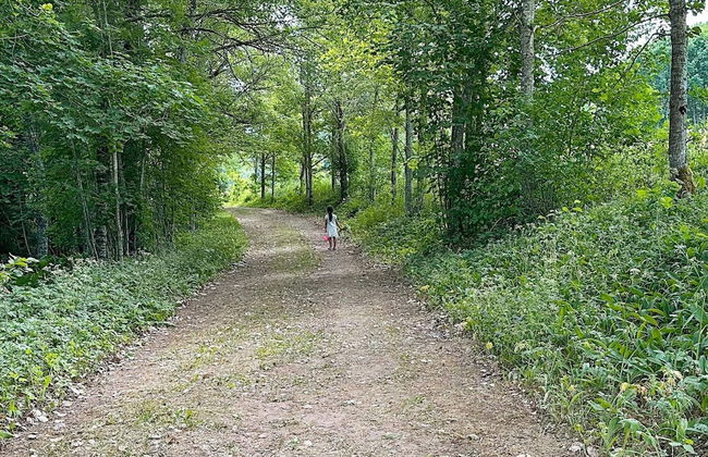 4 Person Holiday Home in Bottnaryd-by Traum - Foto 28