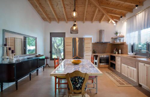 Villa Menie - Golden Fig Sykia lodge - Foto 21