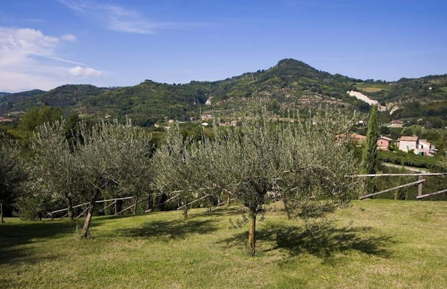 Verdidea - Ovello - Foto 30