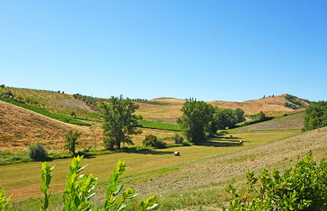 Il Sorriso - Foto 28